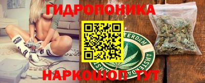 бутират Кингисепп